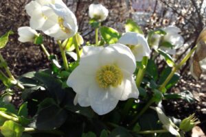 Mehr über den Artikel erfahren Leben ist Wandel