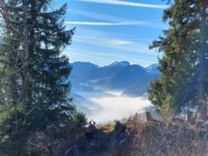 Mehr über den Artikel erfahren 2026 – Neubeginn und Durchstarten